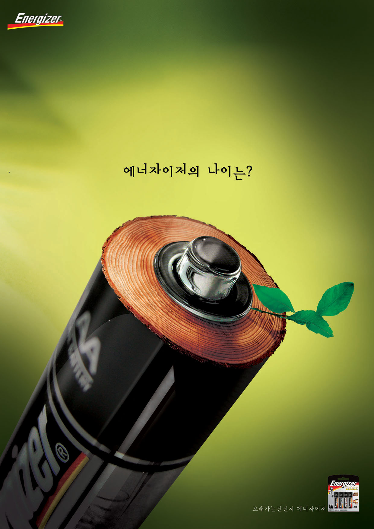 작품이미지